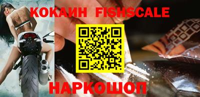 шишки Кингисепп