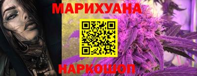 шишки Кингисепп