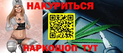шишки Кингисепп