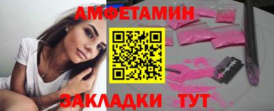 шишки Кингисепп