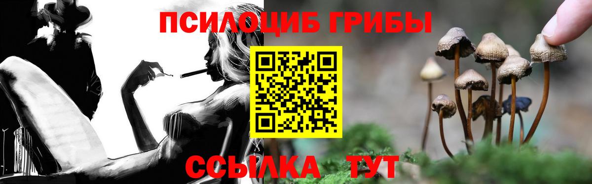 Псилоцибиновые грибы Magic Shrooms Карасук