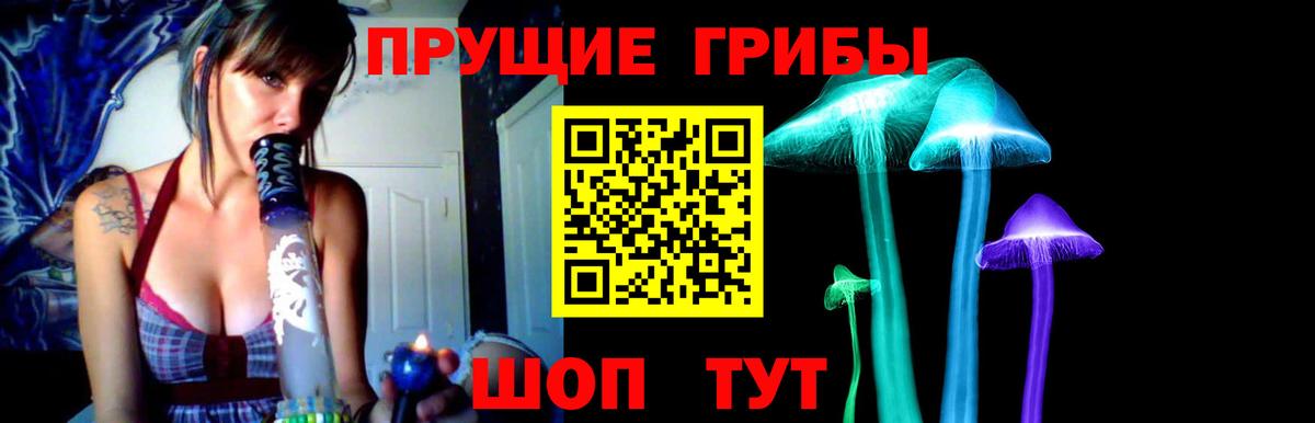 Галлюциногенные грибы ЛСД  Вход с VPN  Карасук  Псилоцибиновые грибы Psilocybine cubensis 